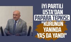 İYİ Partili Erhan Usta'dan Papara tepkisi: "Kurunun yanında yaş da yandı"