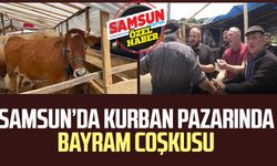 Samsun'da kurban pazarında bayram coşkusu: Satışlar yüz güldürüyor