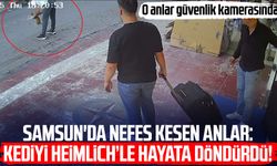Samsun'da nefes kesen anlar: Kediyi Heimlich’le hayata döndürdü!