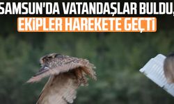 Samsun'da vatandaşlar buldu, ekipler harekete geçti