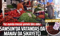 Yaz ayında meyve yemek lüks oldu! Samsun'da vatandaş da manav da şikayetçi