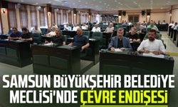 Samsun Büyükşehir Belediye Meclisi'nde çevre endişesi