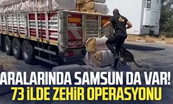 Aralarında Samsun da var! 73 ilde zehir operasyonu