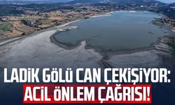 Ladik Gölü can çekişiyor: Acil önlem çağrısı!
