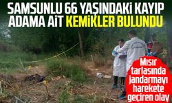 Mısır tarlasında dehşet! Samsunlu kayıp Cafer Ak’a ait kemikler bulundu