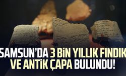 Samsun’da 3 bin yıllık fındık ve antik çapa bulundu!