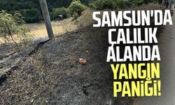 Samsun Atakum'da çalılık alanda yangın paniği!