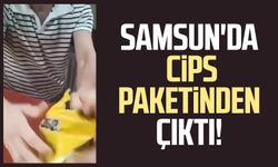 Samsun'da cips paketinden çıktı!