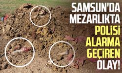Samsun'da mezarlıkta polisi alarma geçiren olay!