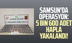 Samsun'da operasyon: 5 bin 600 adet hapla yakalandı!