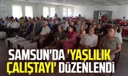 Samsun'da 'Yaşlılık Çalıştayı' düzenlendi