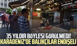 35 yıldır böylesi görülmedi! Karadeniz'de balıkçılar endişeli