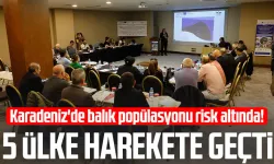 Karadeniz'de balık popülasyonu risk altında! 5 ülke harekete geçti