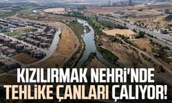 Kızılırmak Nehri'nde tehlike çanları çalıyor!