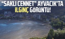 "Saklı cennet" Ayvacık'ta ilginç görüntü: Tarih gün yüzüne çıktı