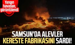 Samsun'da alevler kereste fabrikasını sardı! Yangın havadan görüntülendi
