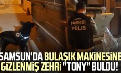 Samsun'da bulaşık makinesine gizlenmiş zehri "Tony" buldu!