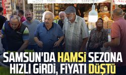 Samsun'da hamsi sezona hızlı girdi, fiyatı düştü
