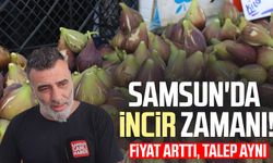 Samsun'da incir zamanı! Fiyat arttı, talep aynı