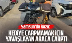 Samsun'da kaza: Kediye çarpmamak için yavaşlayan araca çarptı