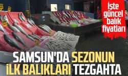 Samsun'da sezonun ilk balıkları tezgahta! İşte güncel balık fiyatları