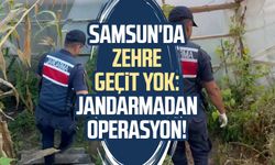 Samsun'da zehre geçit yok: Jandarmadan operasyon!