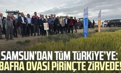 Samsun’dan tüm Türkiye’ye: Bafra Ovası pirinçte zirvede!