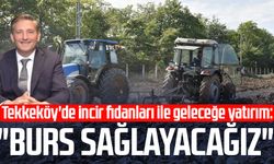 Tekkeköy'de incir fidanları ile geleceğe yatırım: "Burs sağlayacağız"