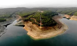 Samsun 2030 Doğa-Kültür Vizyonu: Koruma-Kullanma Dengesi İçin Öneriler