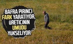 Bafra pirinci fark yaratıyor, üreticinin umudu yükseliyor