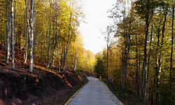 Samsun’da Sonbaharda Renk Cümbüşü Sunan 7 Yer