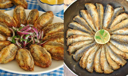 Samsun’da Balık Sezonu Başladı! Hangi Balık Nerede Yenmeli?