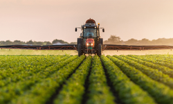 Samsun’un İhracat Yapan Markaları ve Başarı Öyküleri