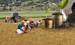 Samsun Ticaret Borsası ve Odalarının Şehre Katkısı