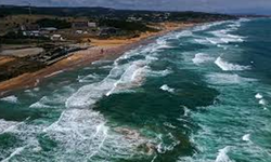 Karadeniz’de Kıyı Yürüyüş Güvenliği: Dalga, Rip Current ve Rüzgâr Rehberi