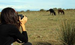 Samsun’da Foto-Safari: Kuş, Bitki ve Doğa Fotoğrafçılığı Noktaları