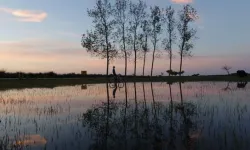 Kasım Ayında Samsun’da Yaşayanlar İçin 5 Doğal ve Kültürel Kaçış Rotaları