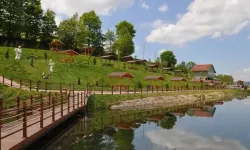 Ladik Gölü Çevresinde Doğa Yürüyüşü Rotaları