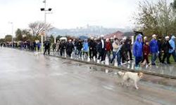 Samsun’da Sağlık ve Yaşam Tarzı: Spor, Beslenme, Kent Yaşamı