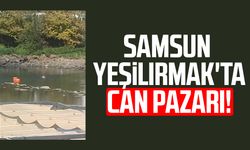 Samsun'da Yeşilırmak'ta can pazarı!