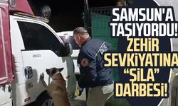 Samsun'a taşıyordu! Zehir sevkiyatına "Şila" darbesi!