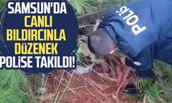 Samsun'da canlı bıldırcınla düzenek polise takıldı!