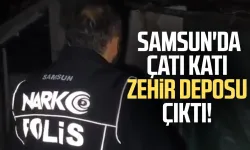Samsun'da çatı katı zehir deposu çıktı!