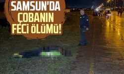 Samsun'un çobanın feci ölümü: Ali Şener hayatını kaybetti