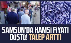 Samsun'da hamsi fiyatı düştü! Talep arttı
