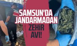 Samsun'da jandarmadan zehir avı!