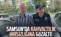 Samsun'da kahvaltılık hırsızlığına gözaltı!