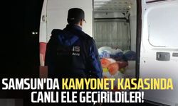 Samsun'da kamyonet kasasında canlı ele geçirildiler! 2 ton...