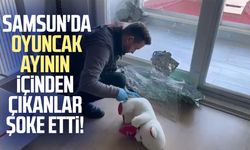 Samsun'da oyuncak ayının içinden çıkanlar şoke etti!