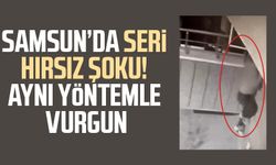 Samsun'da seri hırsız şoku! Aynı yöntemle vurgun